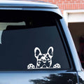 Dog Pattern Animal Reflective Car Sticker