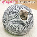 Spherical Cat House With Round Openin Your Cat Will Love It Cat Playhouse