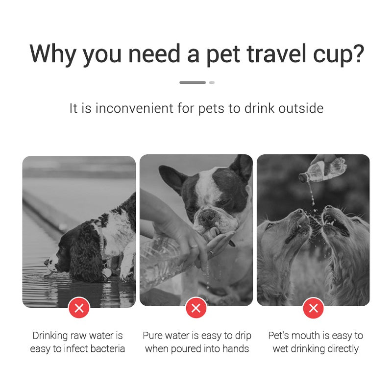 Portable Dog Water Bottle | Leak-Proof On-The-Go Drinking Bowl for Walks & Travel