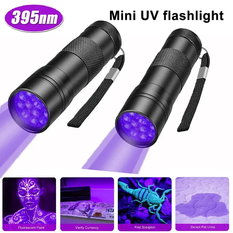 UV Pet Stain Detector Flashlight | 12-LED Black Light for Dog Urine & Bed Bugs