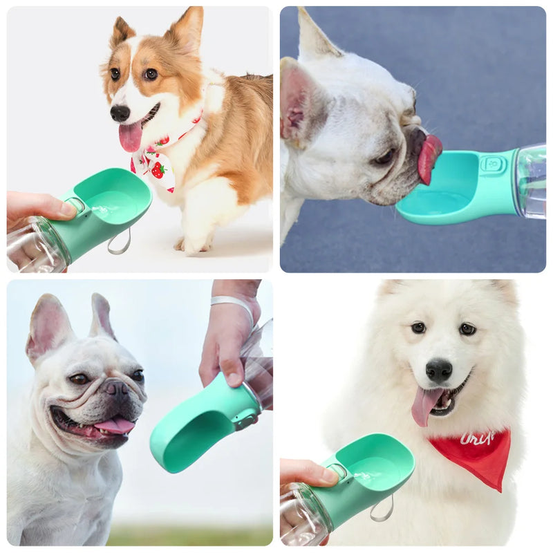 Portable Dog Water Bottle | Leak-Proof On-The-Go Drinking Bowl for Walks & Travel
