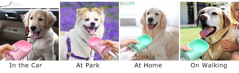Portable Dog Water Bottle | Leak-Proof On-The-Go Drinking Bowl for Walks & Travel