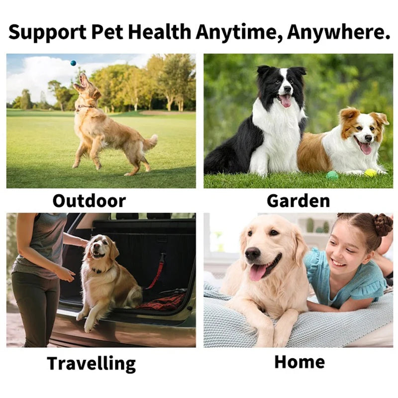 Pet Finger Toothbrush Wipes | Disposable Dental Hygiene Kit for Dogs & Cats
