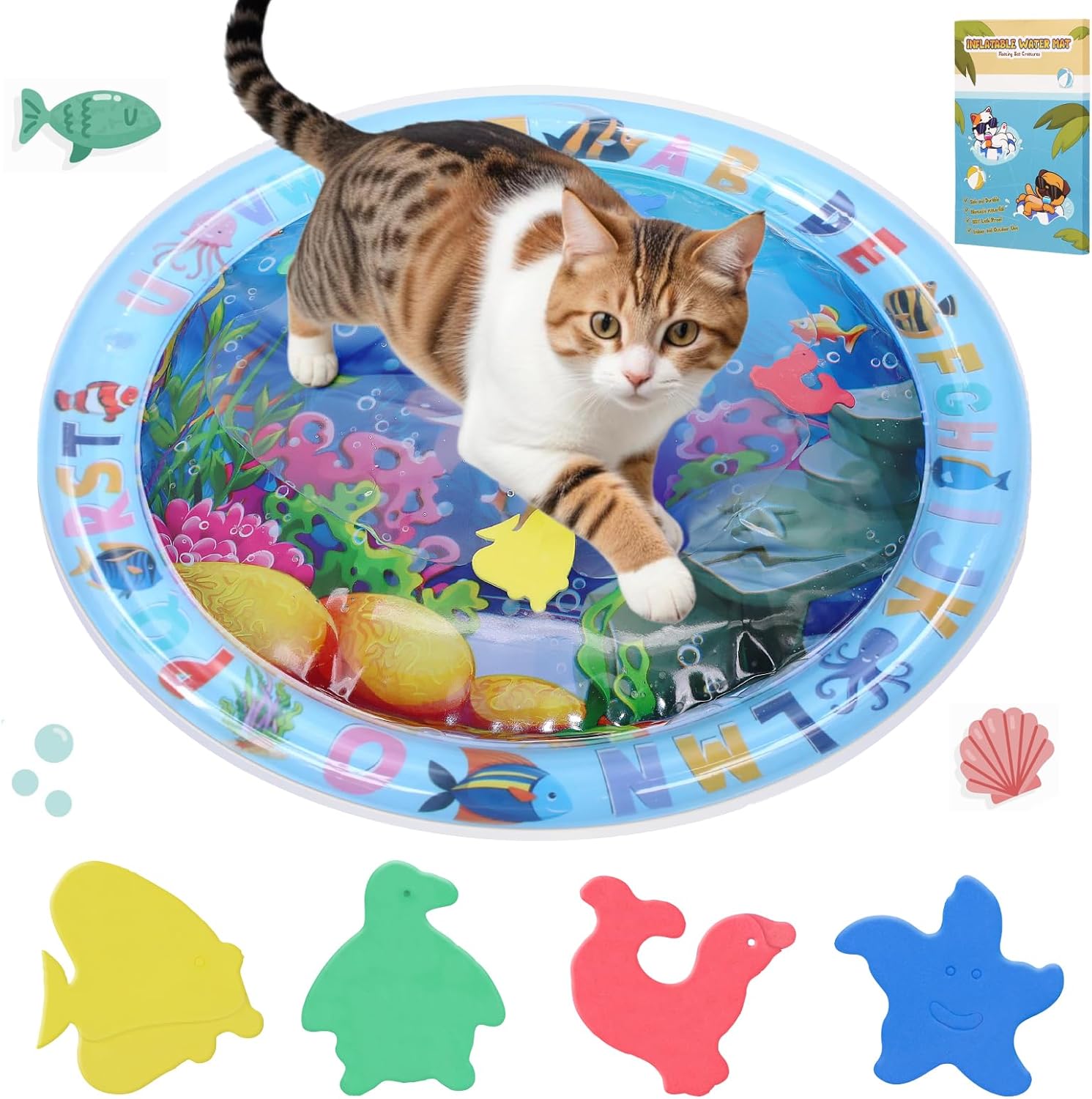 For Cats