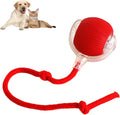 Smart Auto-Rolling Play Ball — Interactive Cat & Dog Toy