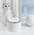 Cat drinking fountain