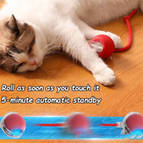 Smart Self-Rolling Cat & Dog Ball | Obstacle-Avoiding Interactive Pet Toy