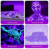 UV Pet Stain Detector Flashlight | 12-LED Black Light for Dog Urine & Bed Bugs
