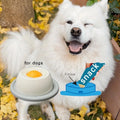 Lick Mat Slow Feeder for Dogs & Cats | Calming Interactive Snack Pad