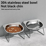 Slanted Stainless Steel Pet Bowl | Anti-Spill Raised Feeder for Dogs & Cats