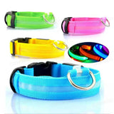 3-Mode Rechargeable LED Dog Collar | USB Night Glow Safety Collar