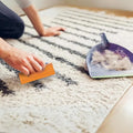 PawHappiness compact reusable pet hair remover tool lifting fur from furniture and clothing