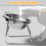 Slanted Stainless Steel Pet Bowl | Anti-Spill Raised Feeder for Dogs & Cats