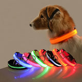 LED Glow-in-the-Dark Dog Leash & Collar Set | Night Safety Fluorescent Lead