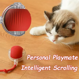 Smart Self-Rolling Cat & Dog Ball | Obstacle-Avoiding Interactive Pet Toy