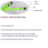 LED Glow-in-the-Dark Dog Leash & Collar Set | Night Safety Fluorescent Lead