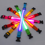 3-Mode Rechargeable LED Dog Collar | USB Night Glow Safety Collar