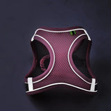 Reflective Breathable Dog Harness Vest | Adjustable Outdoor Walking Set