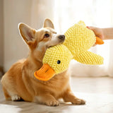 Aggressive Chewer Plush Toy | Squeaky Interactive Doll for Dogs & Cats