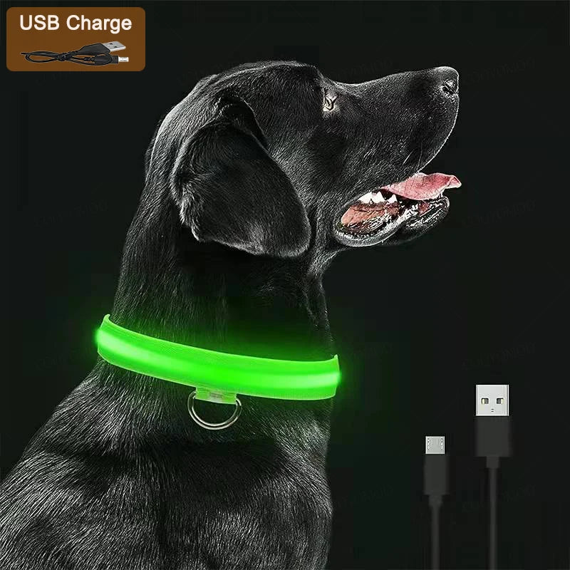 3-Mode Rechargeable LED Dog Collar | USB Night Glow Safety Collar