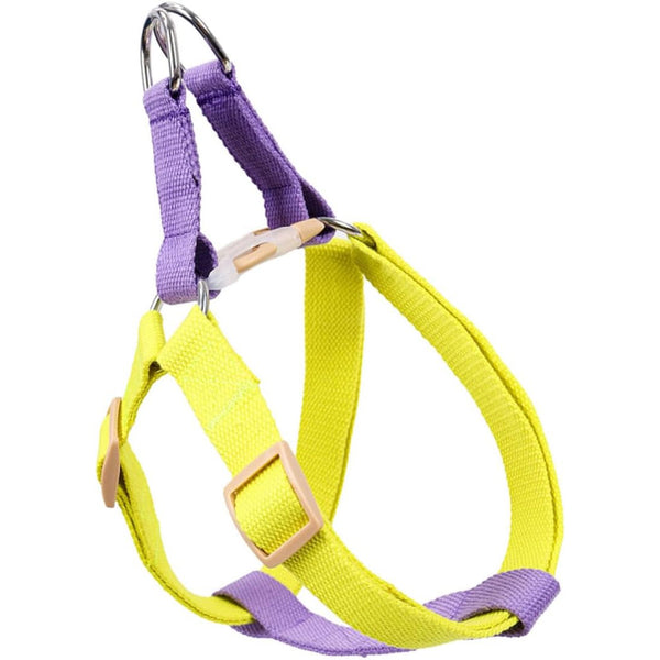 No-Pull Dog Harness & Leash Set — For Small Breeds